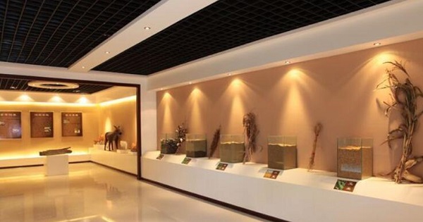 江苏省农业展览馆